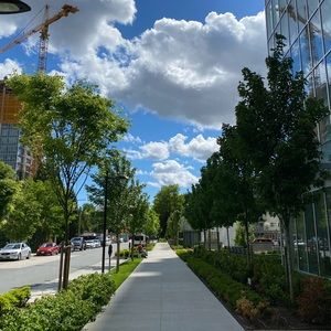 Meet your Posher, Jayoung